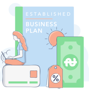 Established Company Business Plan