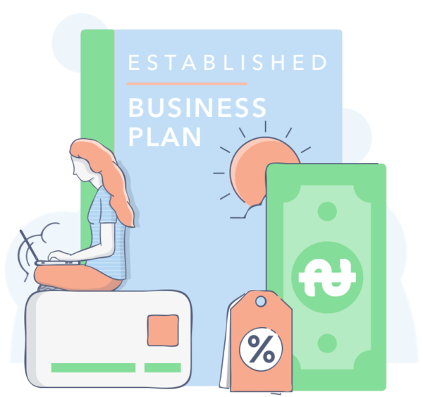 Established Company Business Plan